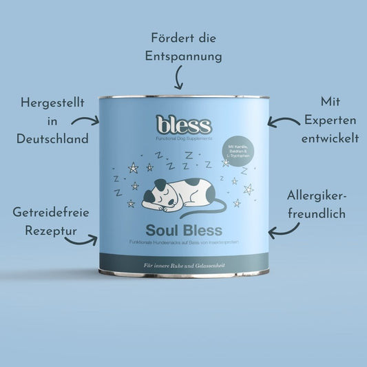 Infografik zur Bless Soul Bless Dose mit Vorteilen