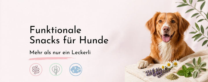 Was sind funktionale Snacks für Hunde?