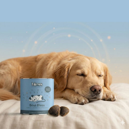 Soul Bless