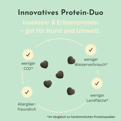 Infografik zum Protein-Duo aus Insekten- und Erbsenprotein