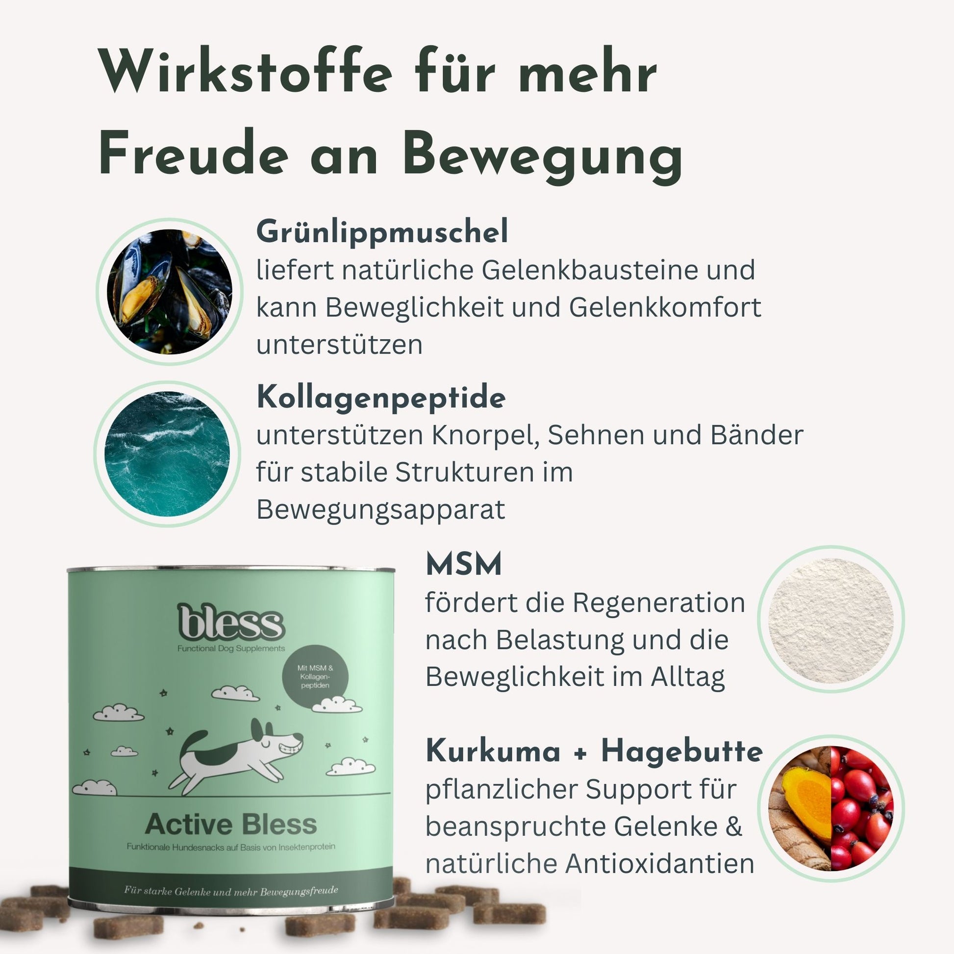 Infografik zu Active Bless: Wirkstoffe für Bewegung und starke Gelenke