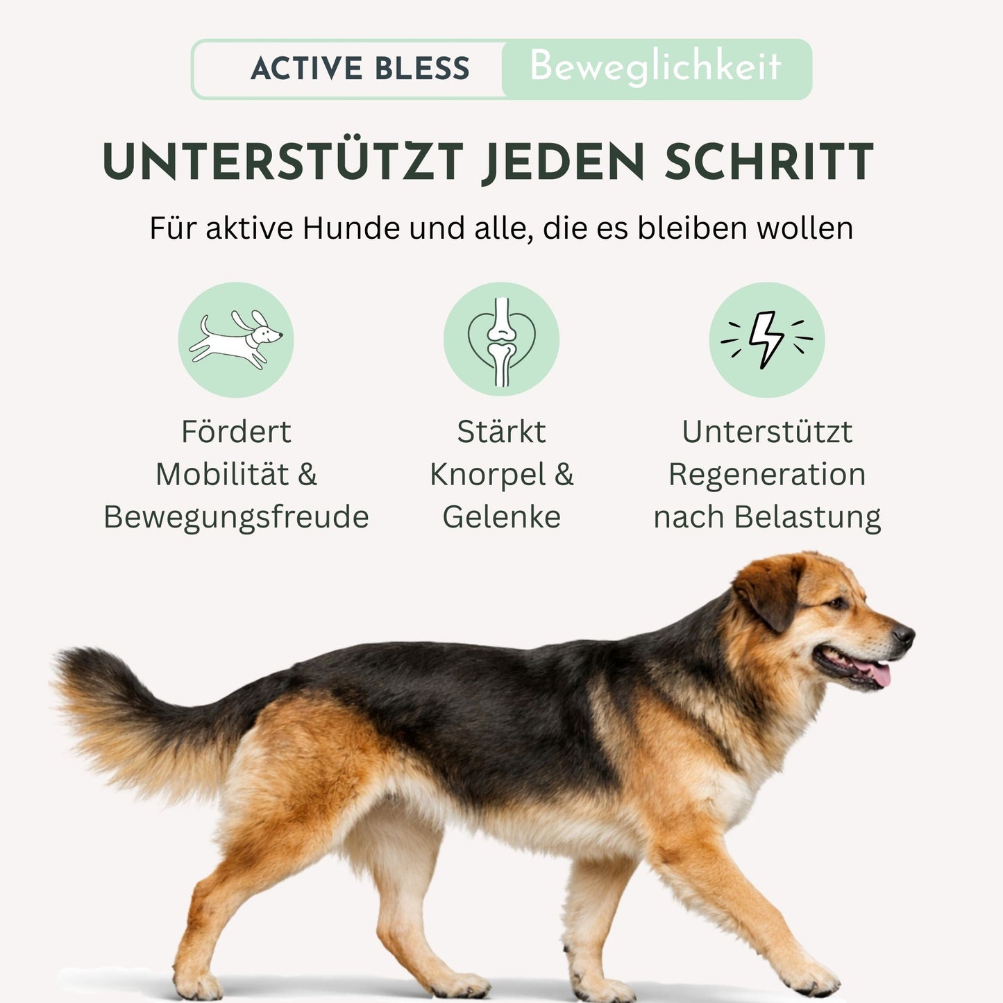 Infografik zu Active Bless: Unterstützung für starke Gelenke mit Benefits und Hund