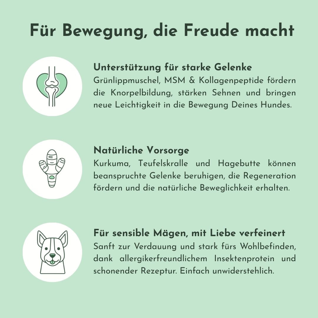 Infokarte zu Active Bless: Gelenke unterstützen und Bewegungsfreude fördern