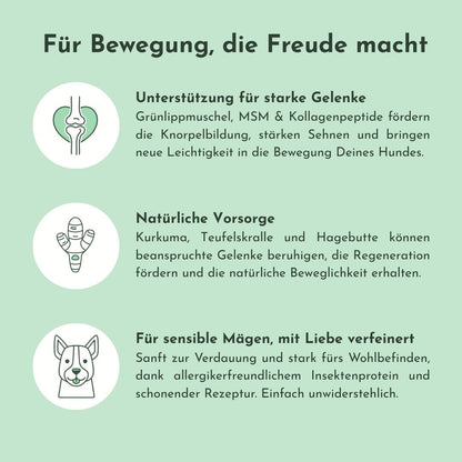 Infokarte zu Active Bless: Gelenke unterstützen und Bewegungsfreude fördern