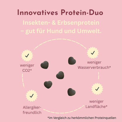 Infografik zum Protein-Duo aus Insekten- und Erbsenprotein