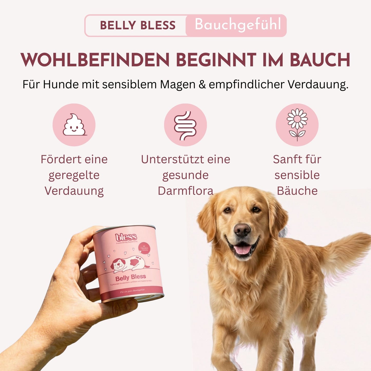 Infografik zu Belly Bless: Wohlbefinden beginnt im Bauch mit Benefits und Hund