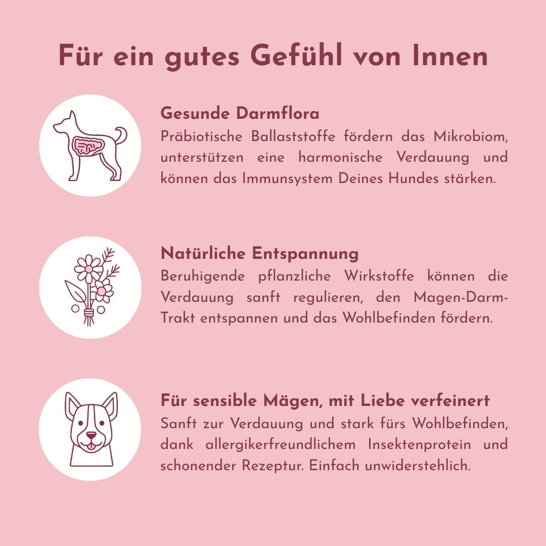 Infokarte zu Belly Bless: Darmflora, Entspannung und sensible Mägen