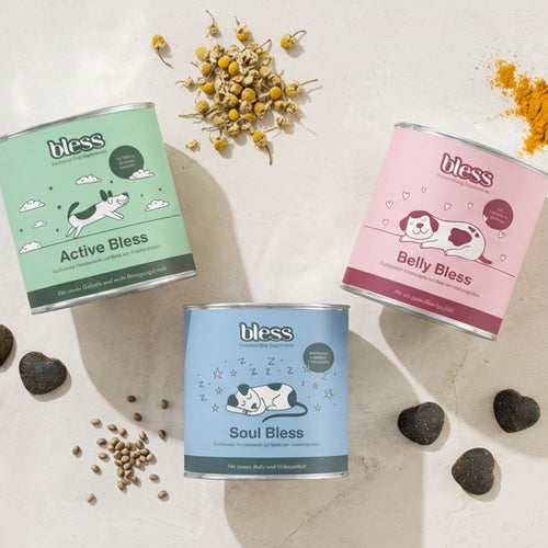 Bless Bundle mit Belly Bless, Active Bless und Soul Bless Dosen mit Zutaten und Snacks