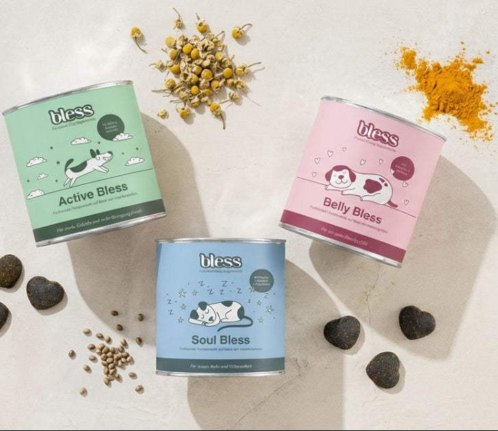 Bless Bundle mit Belly Bless, Active Bless und Soul Bless Dosen mit Zutaten und Snacks