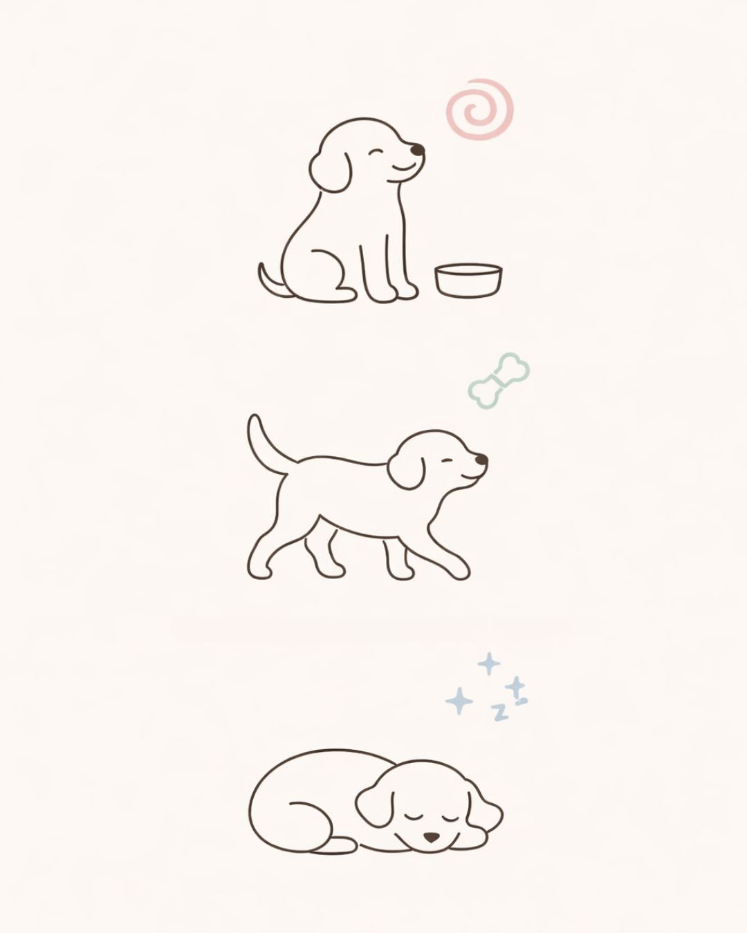 Minimalistische Fineline-Illustration eines Hundes in drei Szenen: Verdauung (Bauchgefühl), Bewegung (Gelenke) und Ruhe – Bless Health Collection für sensible Hunde.