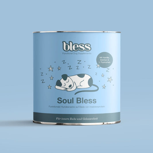 Bless Soul Bless Dose in Frontansicht