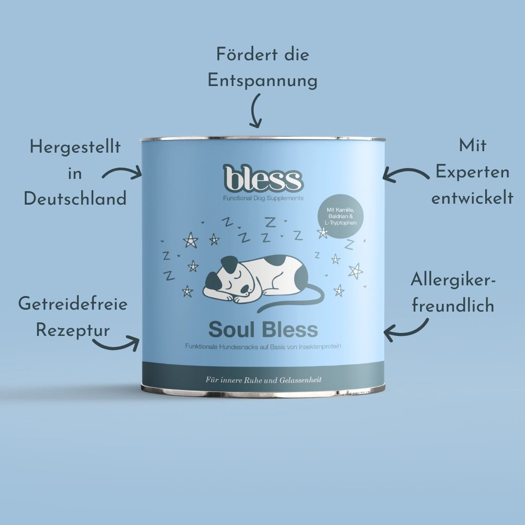 Infografik zur Bless Soul Bless Dose mit Vorteilen