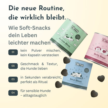 Infografik: Routine mit Soft-Snacks und Vorteile im Alltag