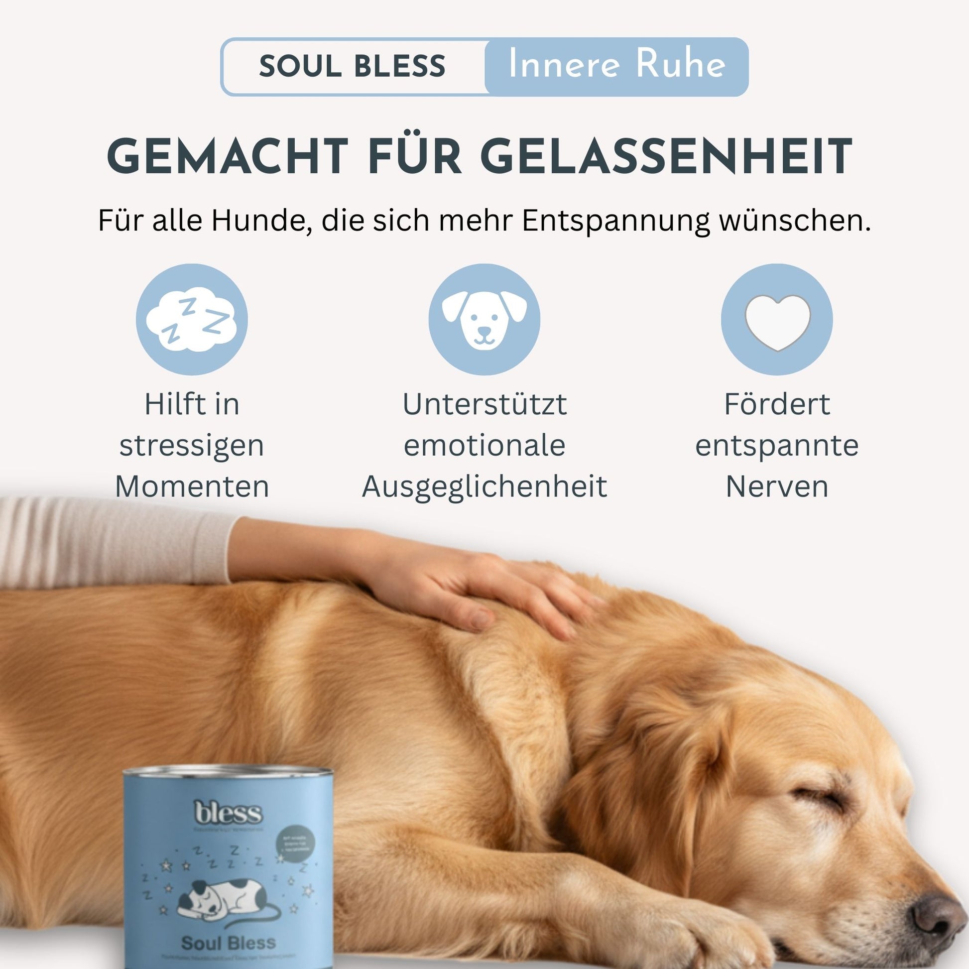 Infografik zu Soul Bless: innere Ruhe und Entspannung mit Benefits und Hund