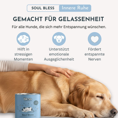 Infografik zu Soul Bless: innere Ruhe und Entspannung mit Benefits und Hund