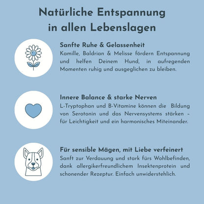 Infokarte zu Soul Bless: natürliche Entspannung und innere Balance